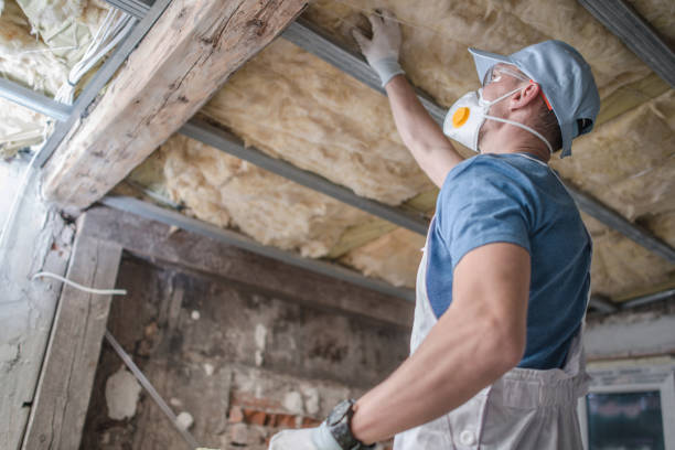 Best Local Insulation Services  in Waldo, AR