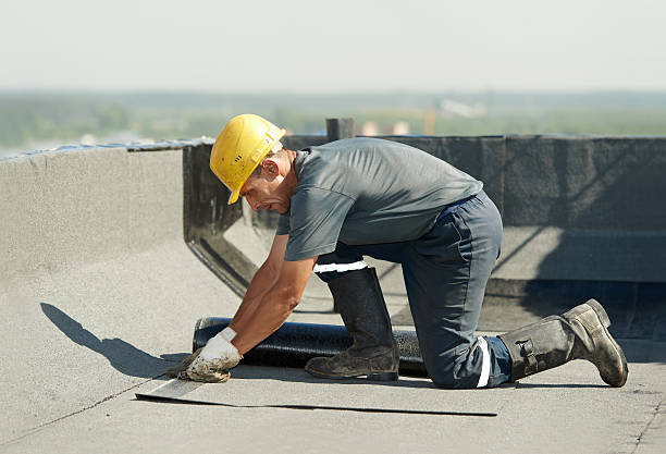 Best Insulation Replacement Services  in Waldo, AR