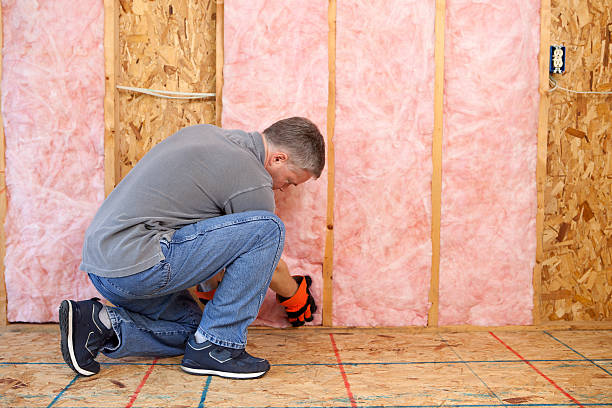 Best Attic Insulation Installation  in Waldo, AR