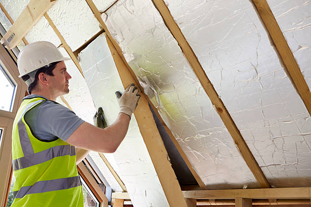 Best Professional Insulation Contractor  in Waldo, AR