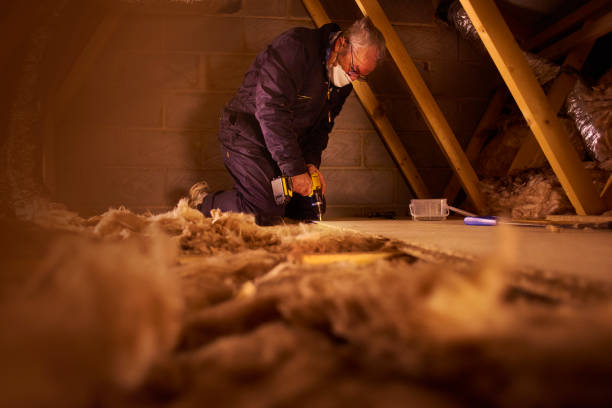 Best Insulation Contractor Near Me  in Waldo, AR